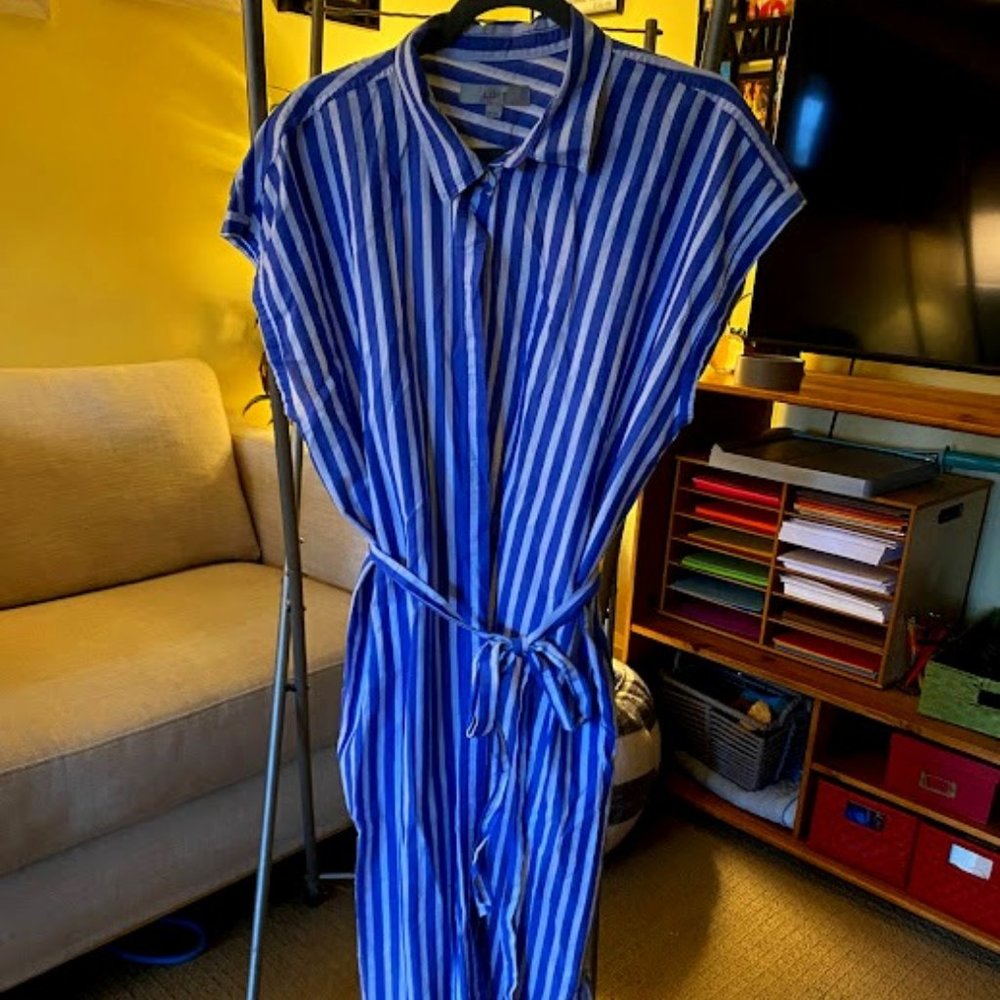 Loft Striped Button Down Dress